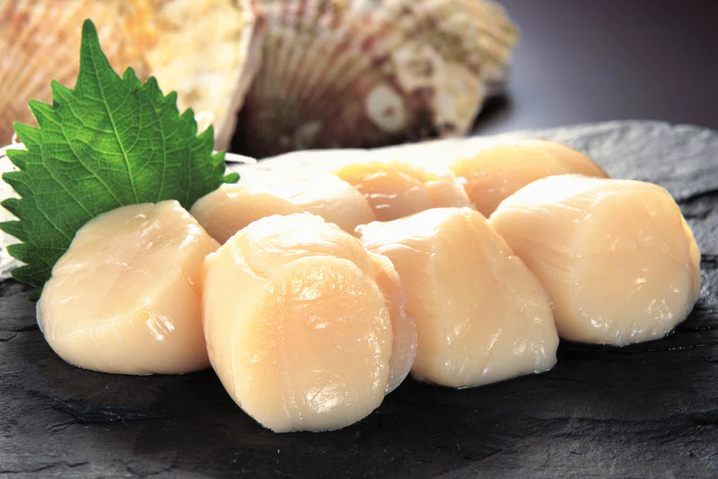 日本刺身帶子(4s) 500g Japanese Sashimi Scallop 500G