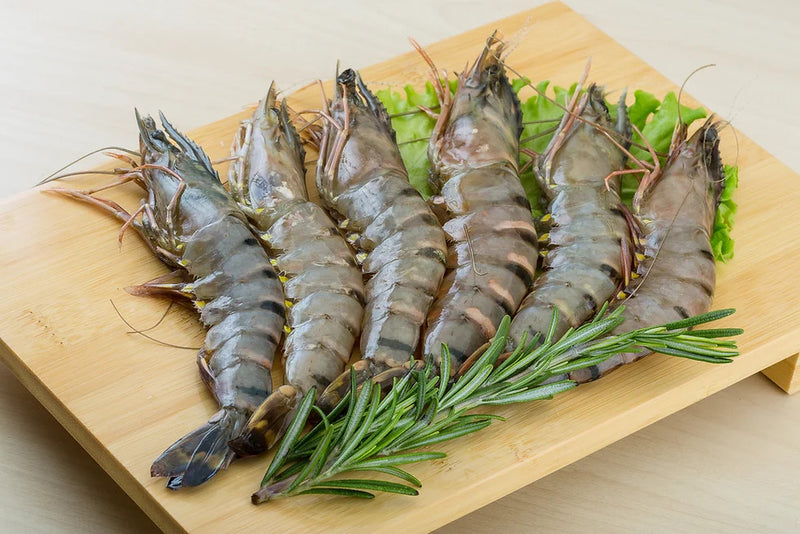 越南珍寶虎蝦500G Jumbo Tiger Shrimp (500G)